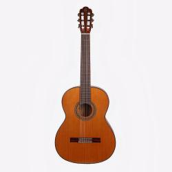 Классическая гитара, массив ели/ махагони, чехол, цвет натуральный OMNI CG-900S