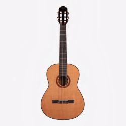 Классическая гитара, массив ели/ палисандр, чехол, цвет натуральный OMNI CG-710YS