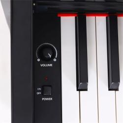 Кабинетное цифровое пианино BEISITE B-89 Pro BN
