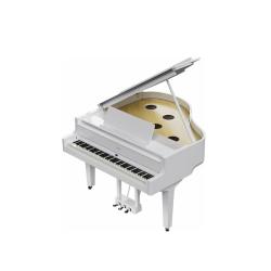 Цифровой рояль, 88 клавиш, 256 полифония, 324 тембра, Bluetooth Ver 4.2 ROLAND GP 6 PW