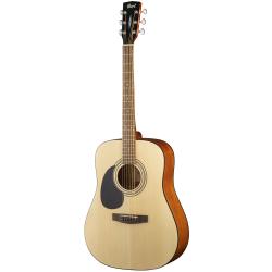 Standard Series Акустическая гитара, леворукая, цвет натуральный, с чехлом CORT AD810-LH-WBAG-OP