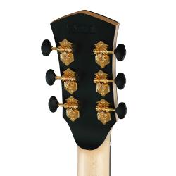 Gold Series Электро-акустическая гитара, цвет натуральный, с чехлом CORT Gold-Passion-WCASE-NAT