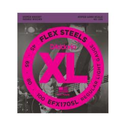 Струны для бас-гитары 45-100, Super Long D'ADDARIO EFX-170-SL