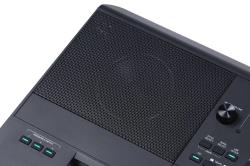 Синтезатор, 61 клавиша  MEDELI AKX10