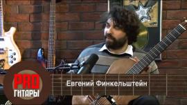 Pro Гитары - Евгений Финкельштейн
