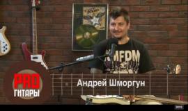 Pro Гитары - Андрей Шморгун